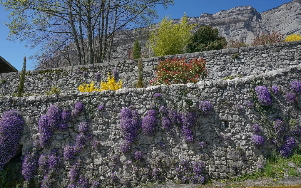 2018-04-06 (02) Le printemps à Biviers