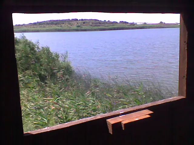 Biviere di Gela - Birdwatch
