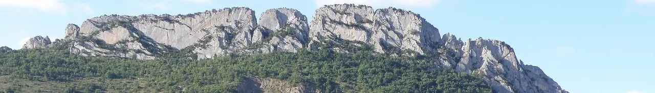 Buis-les-Baronnies banner