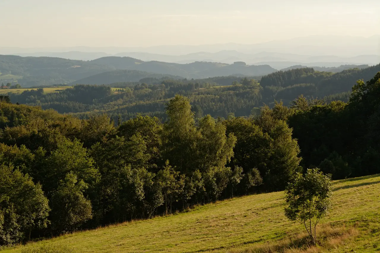 Meadows Les Hommades Celles-sur-Durolle