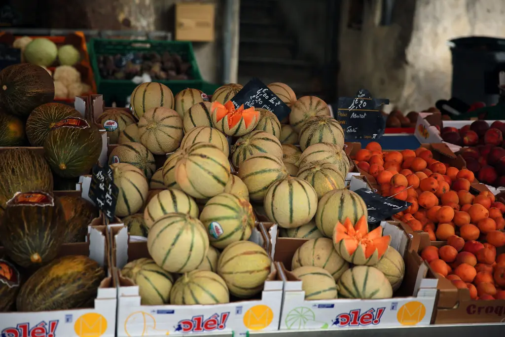Les melons charentais du Gard