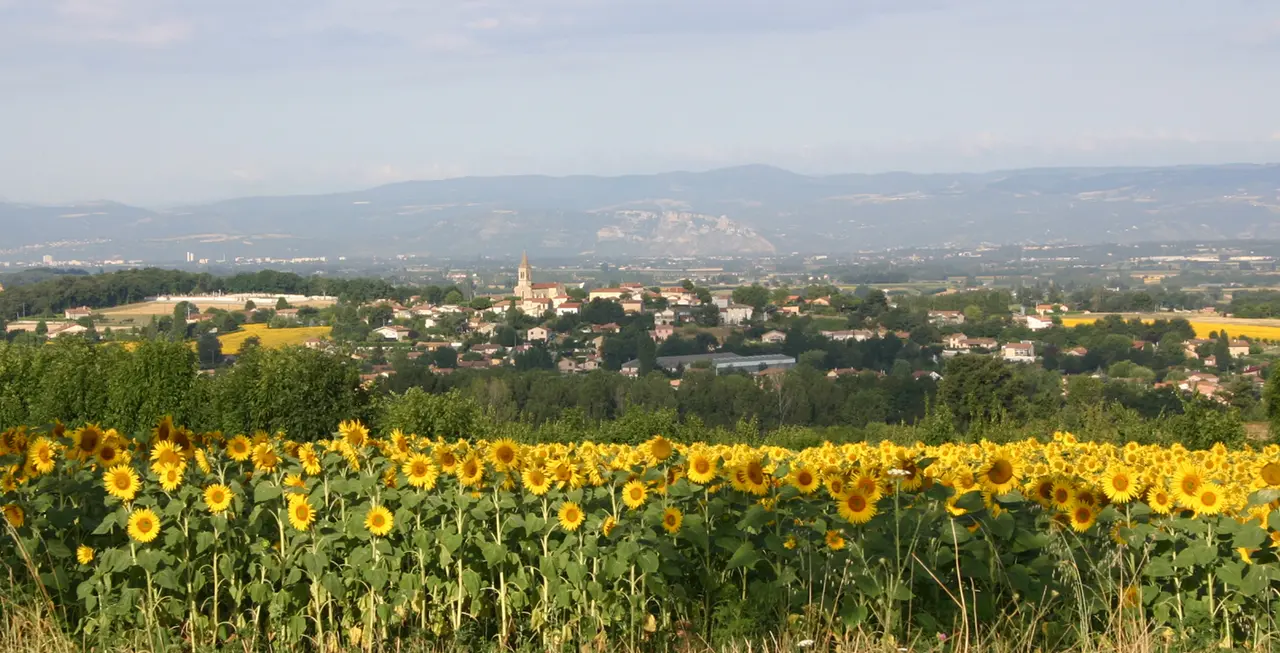 Paysage de Chatuzange le Goubet
