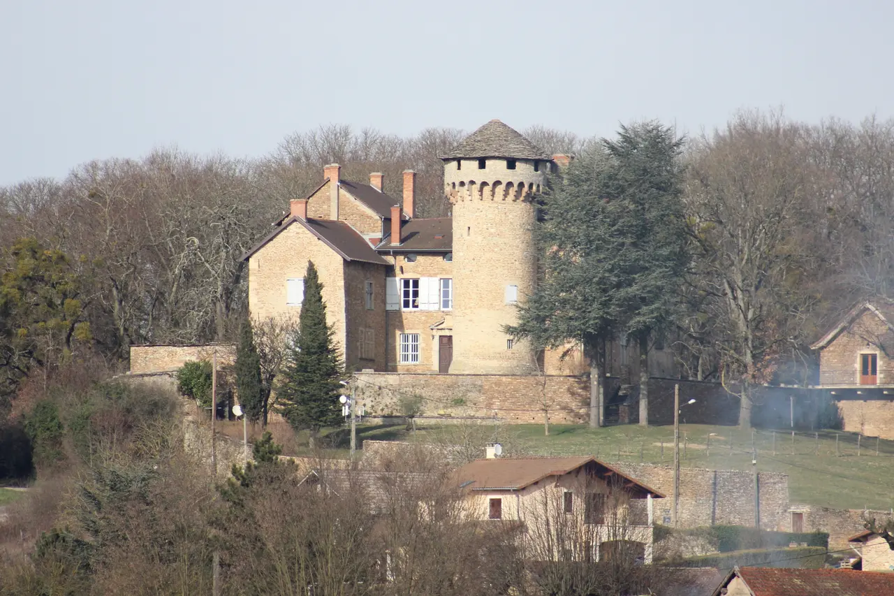 Chozeau - Château de Poizieu