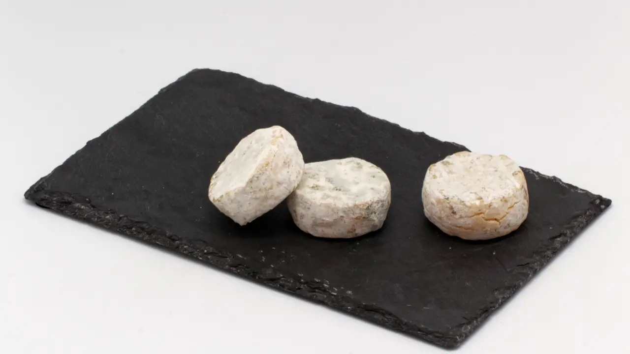 File:WikiCheese - Rigotte de Condrieu - 20150619 - 001.jpg