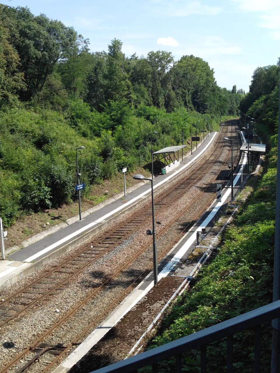 Gare de Dardilly-le-Jubin 2014 (4)