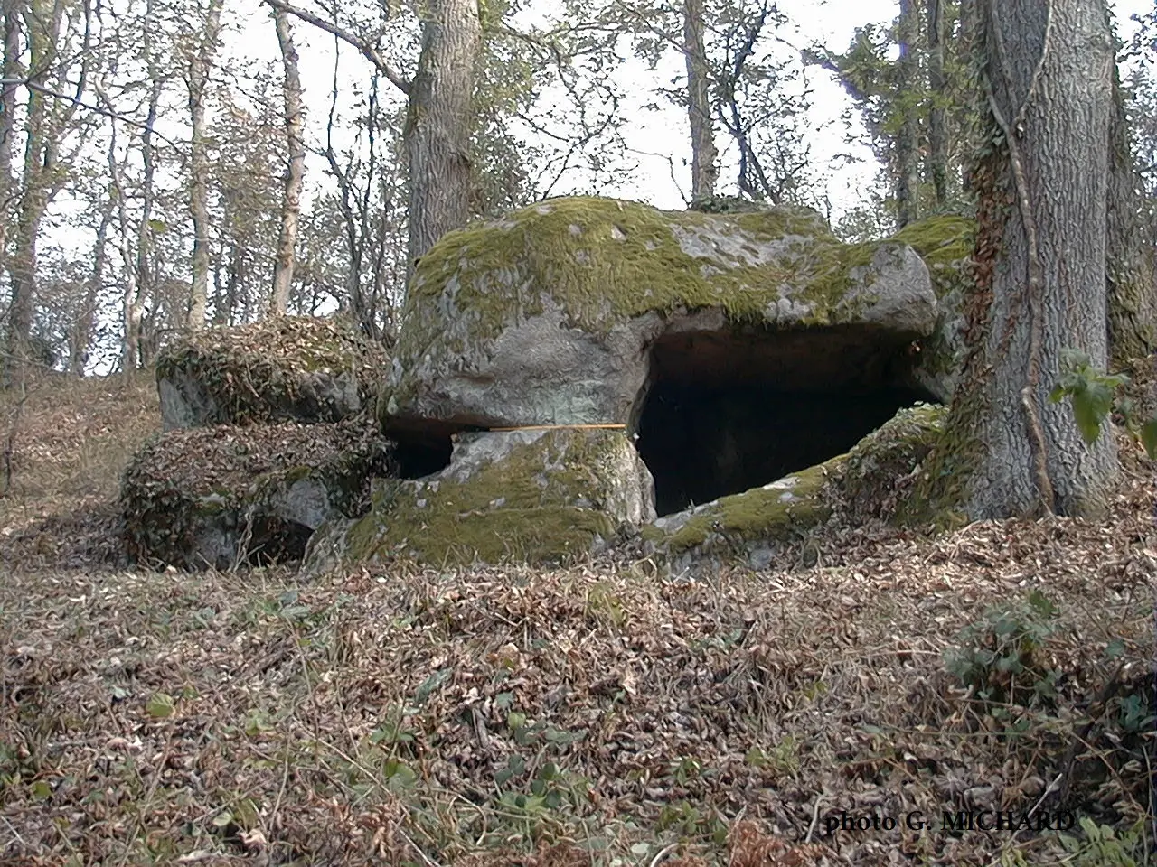 Cabane du Loup DOYET 03