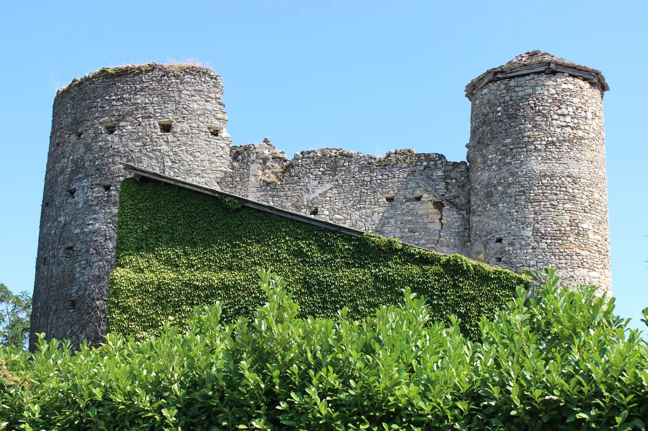 Frontonas - Château de Certeau-001