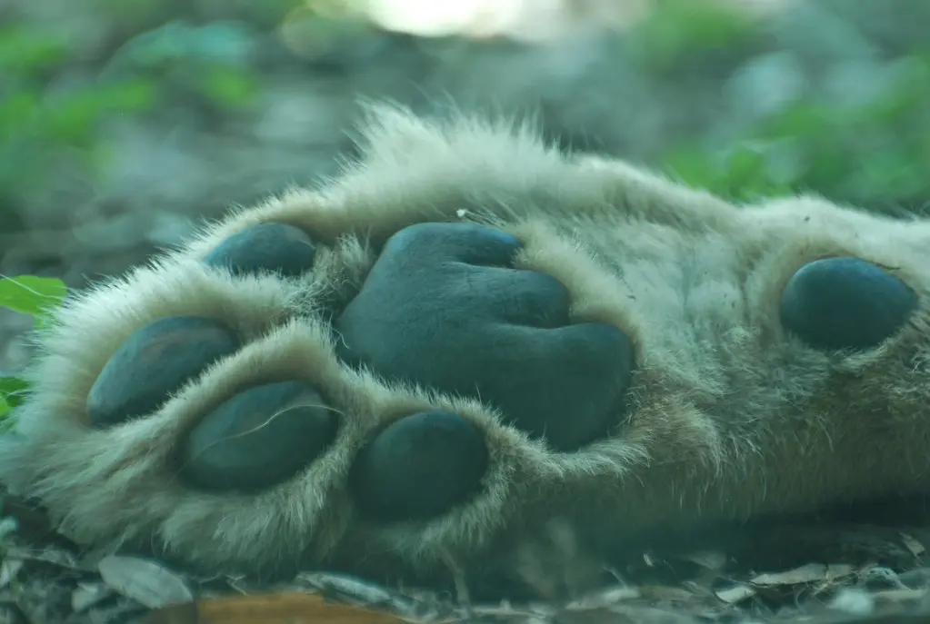 Hostun Zoo