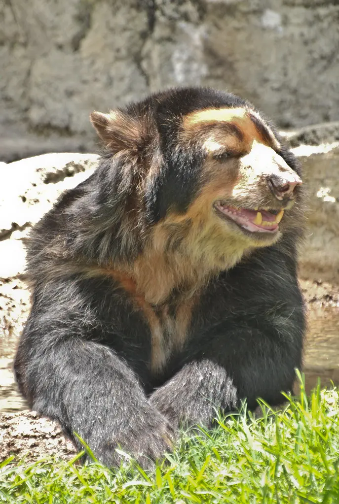 Hostun Zoo