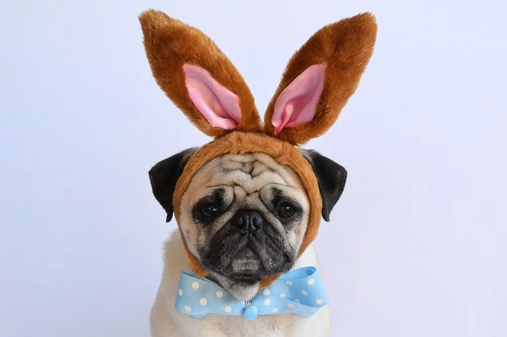 Happy Easter ~ Joyeuses Pâques
