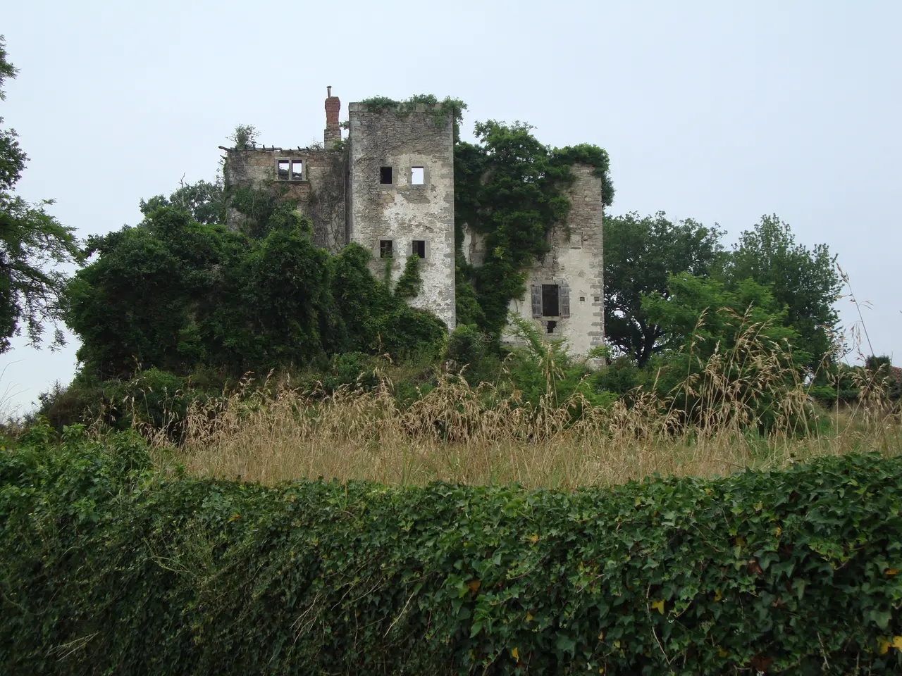 Beyrie-sur-Joyeuse (Pyr-Atl, Fr) Le château à restaurer