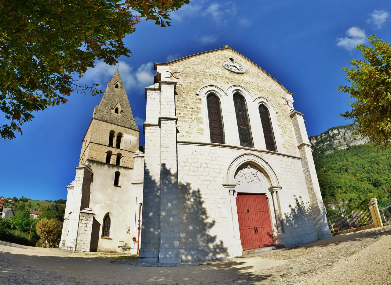 Église Saint-Martin de La Buisse, Isère