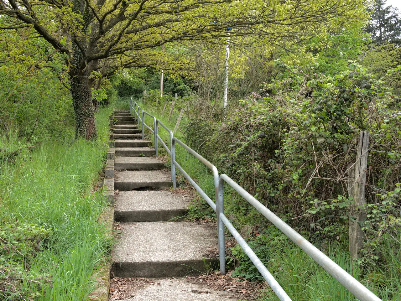 Montée vers Soleymieux à La Talaudière