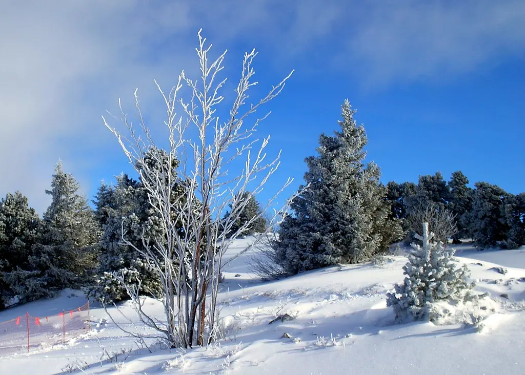 Lans en Vercors