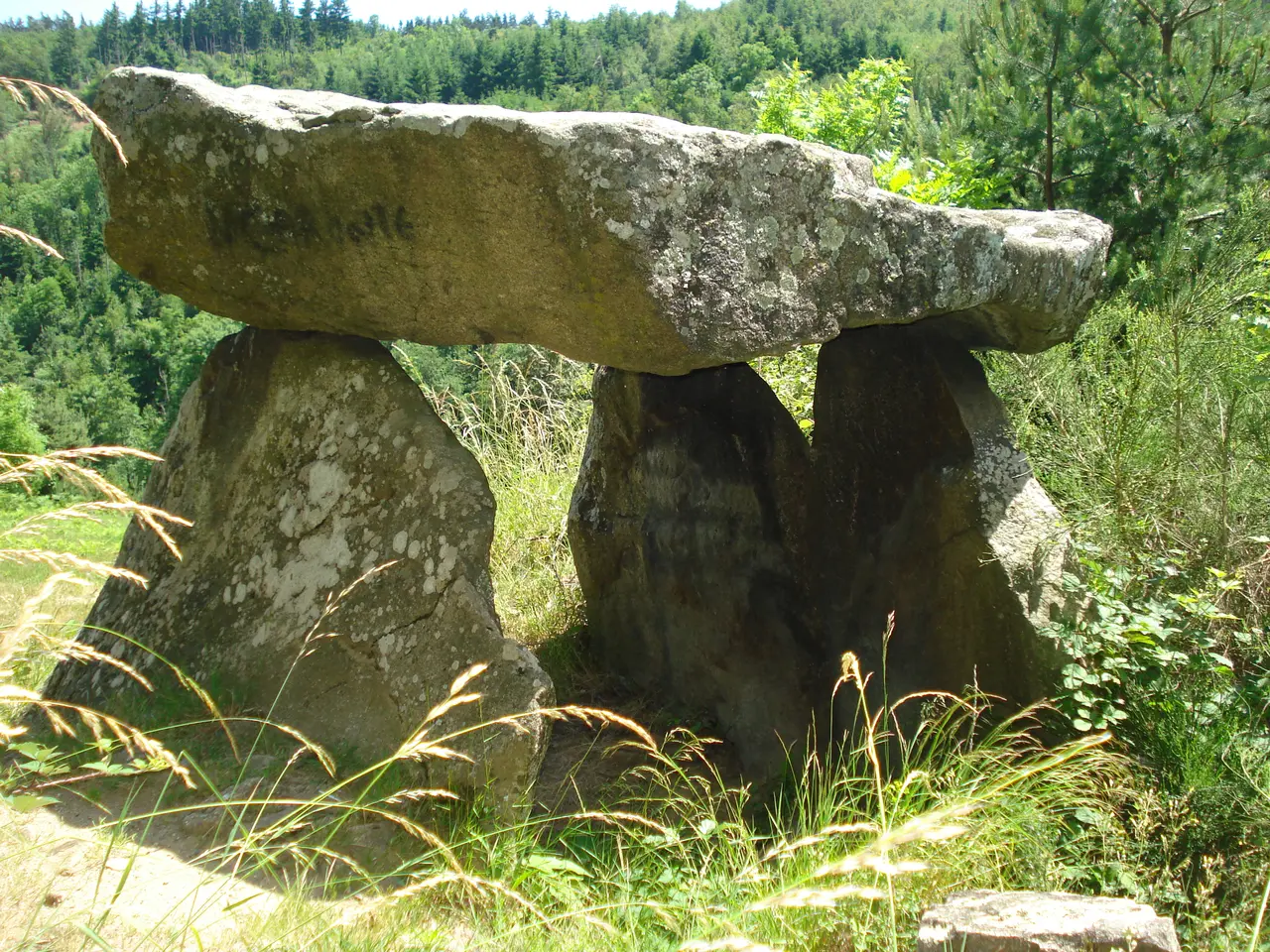 Luriecq (Loire, Fr), le dolmen