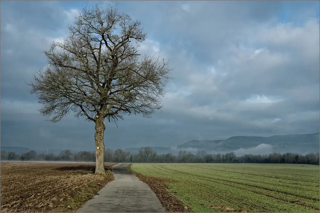 On the Way to Montalieu-Vercieu.