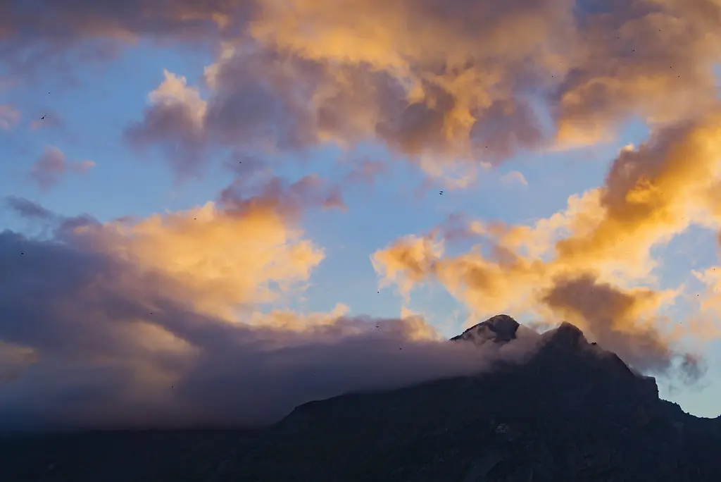 08/17/16 Explored - France - Birds at the Montbrison moutain range (sunset)