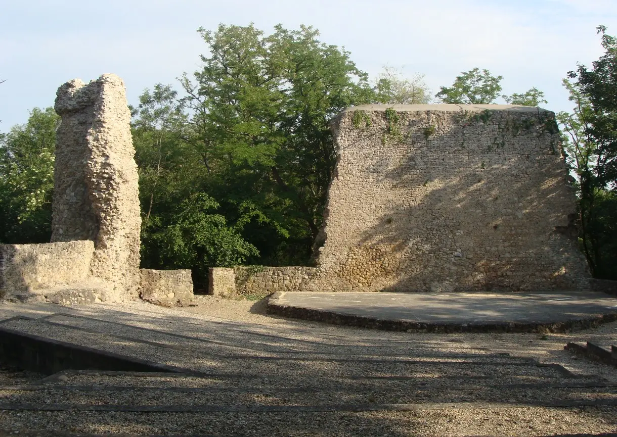Chateau Montluel-32