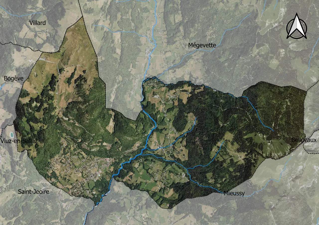 74205-Onnion-Orthophoto