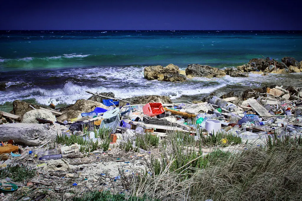 salento, natura morta a due passi da lecce
