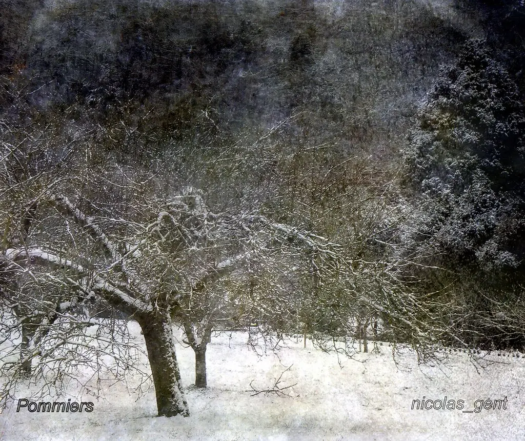 ✿ Pommiers ✿ Apple tree ✿