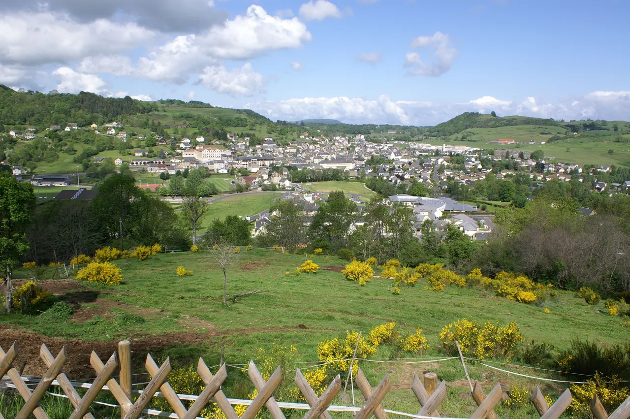 Riom-ès-Montagnes-vue générale