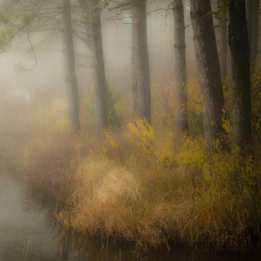 Chorale de pins sur la rive du lac... l'automne jubile... une autre belle journée...!!!