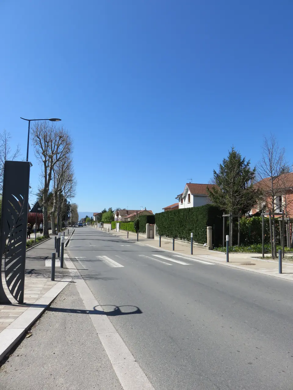 Saint-André-le-Puy - Avenue de Chenevrier