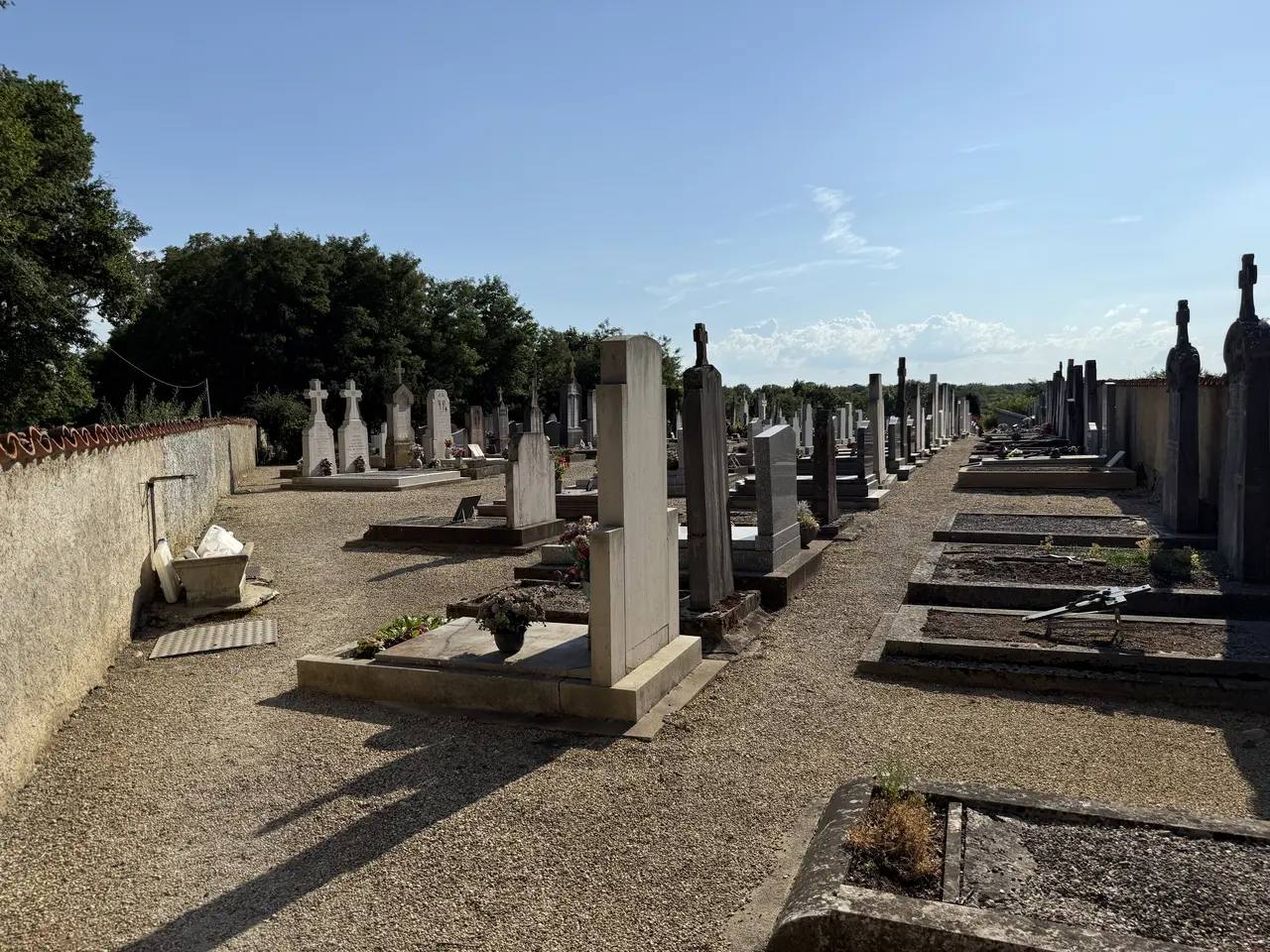 Cimetière - Saint-André-sur-Vieux-Jonc (FR01) - 2025-06-30 - 1