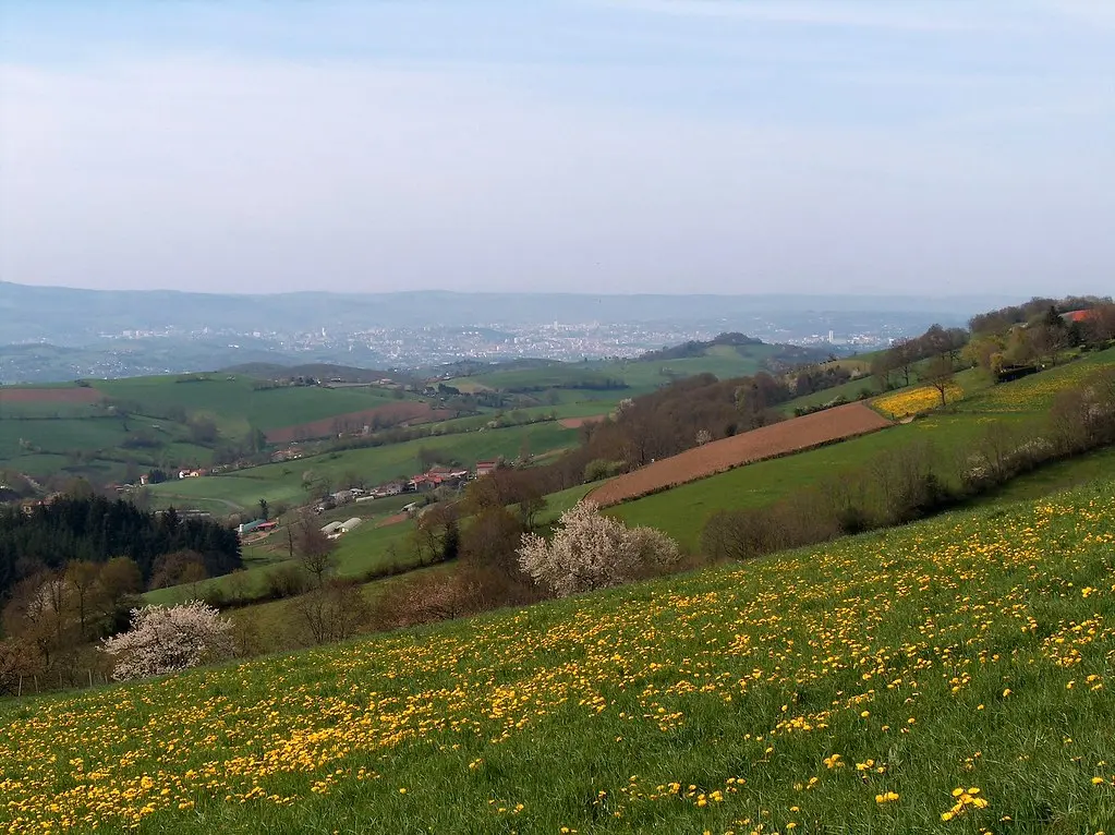 Saint-Christo-en-Jarez. Prati