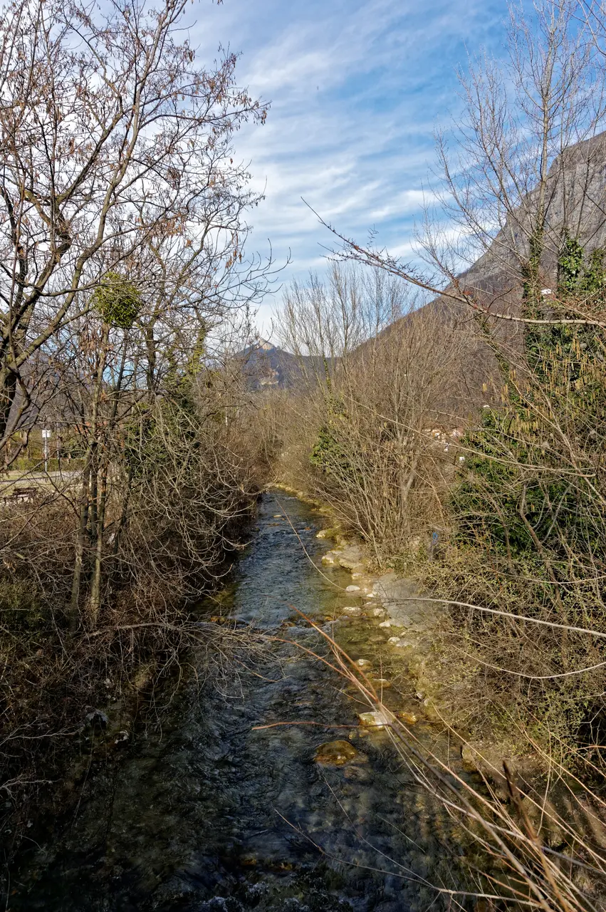 La Vence à Saint-Égrève 2017-02-26