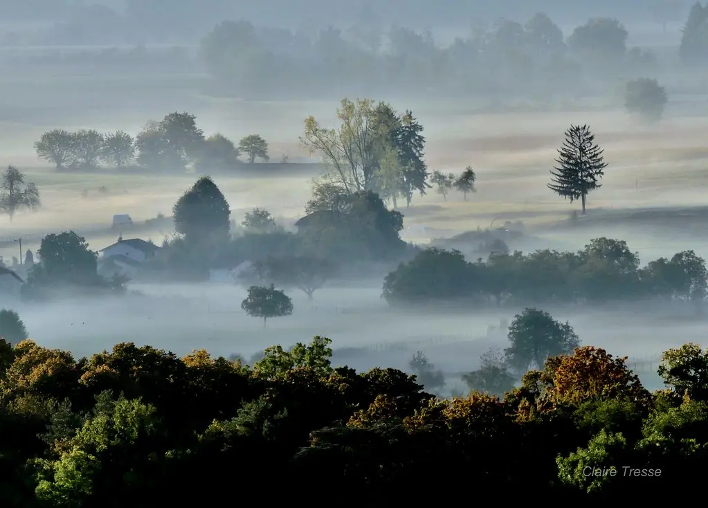 Douceur enveloppante au petit matin