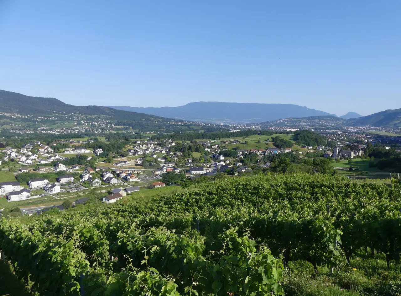 Saint-Jeoire-Prieuré vu des vignobles de Chignin au matin (juin 2020)