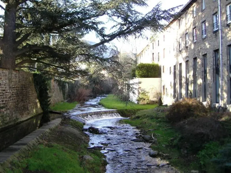Rivière Ternay à Saint-Julien-Molin-Molette (Loire, France)