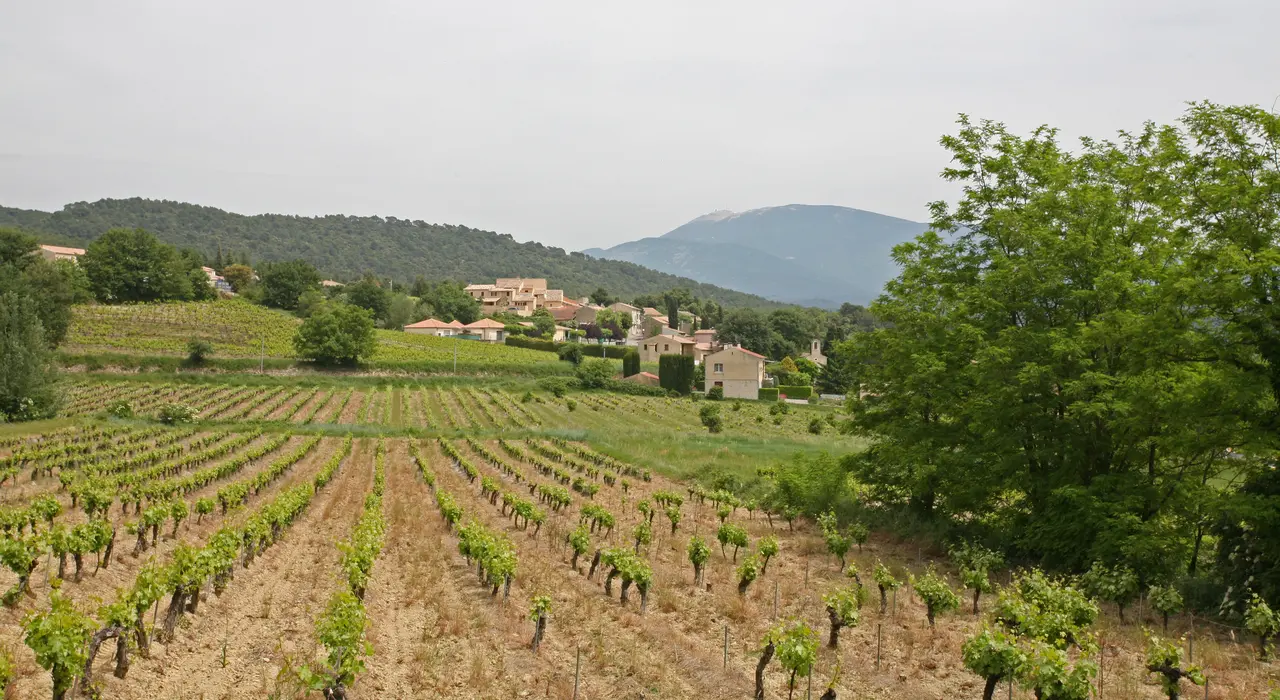 File:Vue sur Saint-Marcellin-lès-Vaison by JM Rosier.JPG