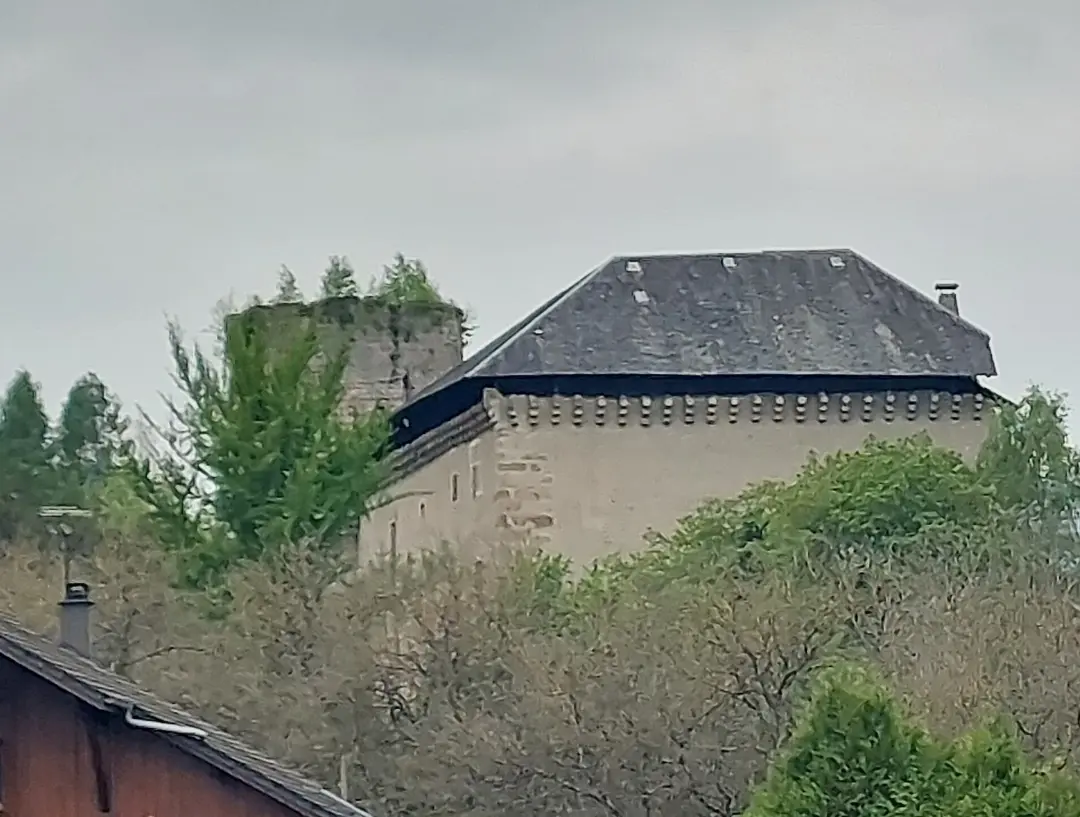 Photo Château de Sainte-Hélène-sur-Isère