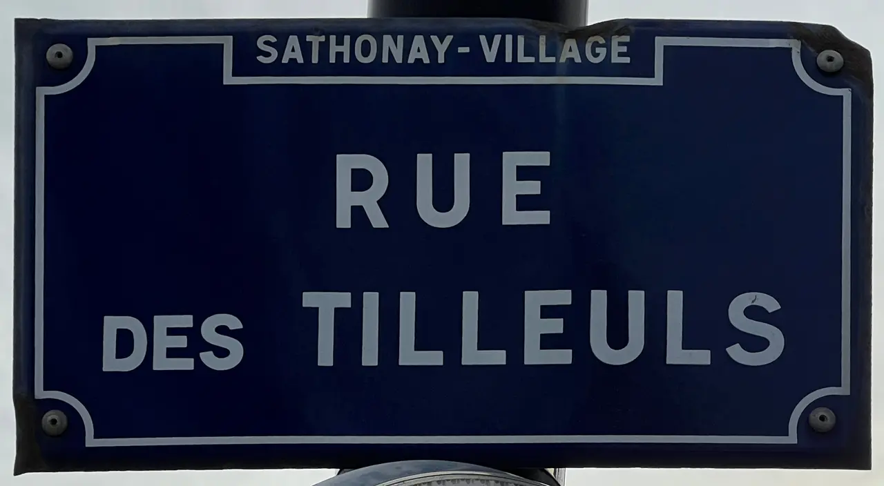 Plaque Rue Tilleuls - Sathonay-Village (FR69) - 2023-12-28 - 1