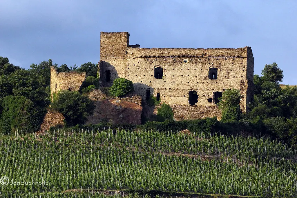 Ancient Ruins and Modern Vines - Seyssuel, France