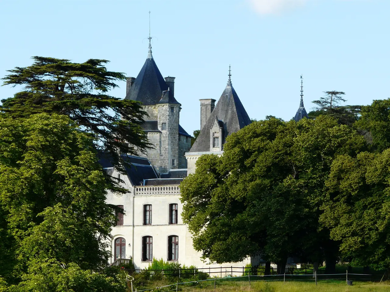 Ternay château (1)