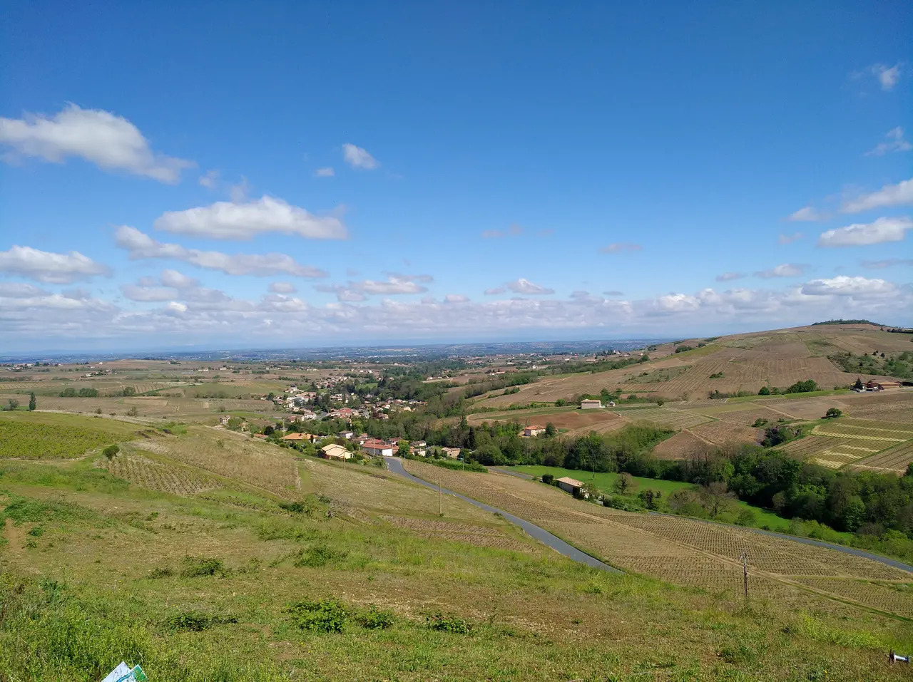 Vaux-en-Beaujolais - Vue vers la vallée de la Vauxonne (avril 2019)