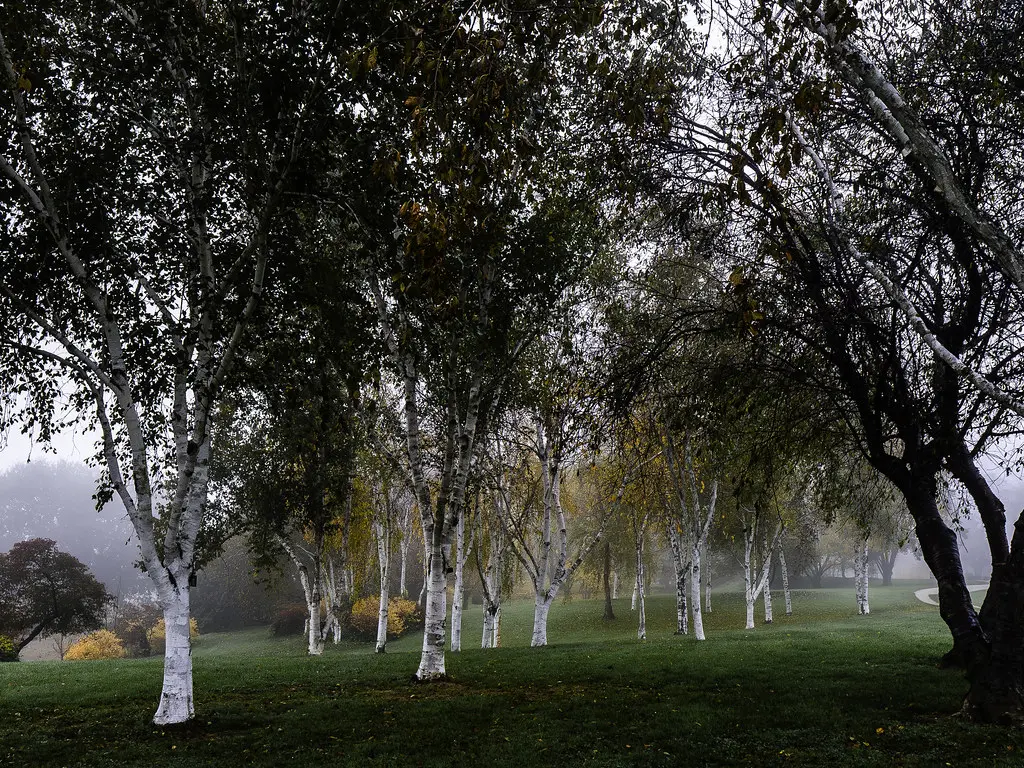 Jardin du Bois Marquis -Vernioz-