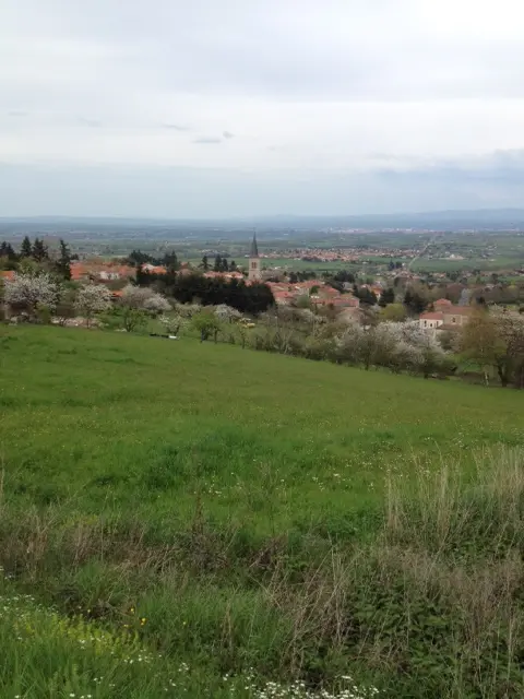 Villemontais-42
