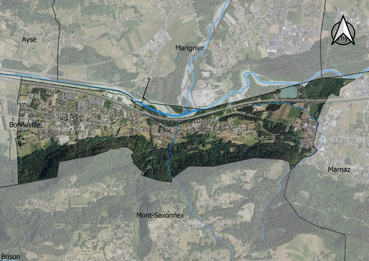 74312-Vougy-Orthophoto