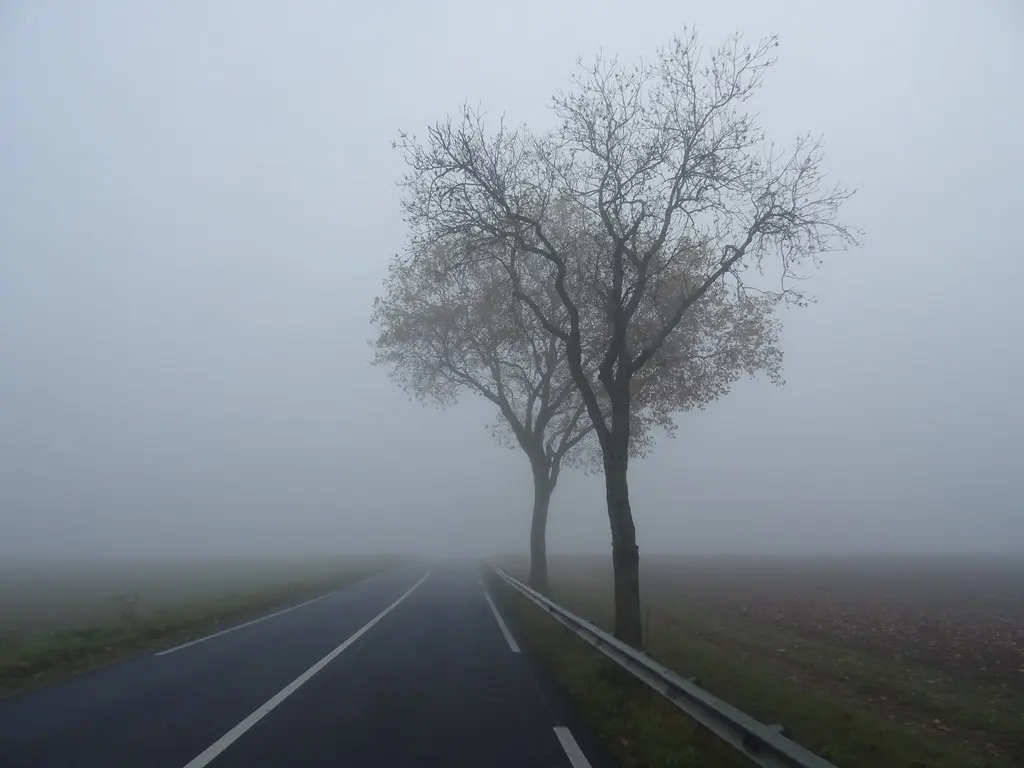 Sur la route dans le brouillard entre Arc-sur-Tille et Binges, Côte-d'Or