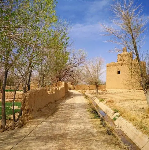 Bavan