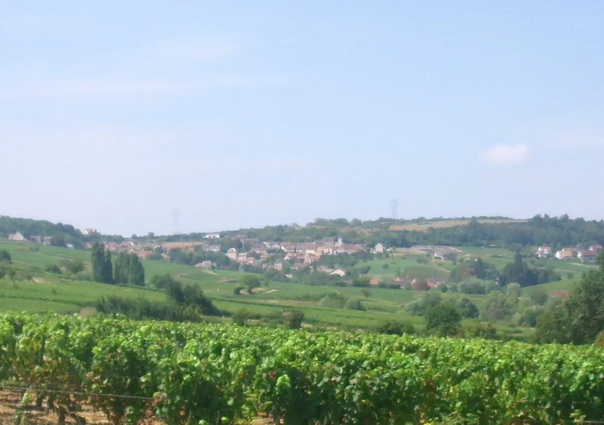 IMG Montagny-lès-Buxy