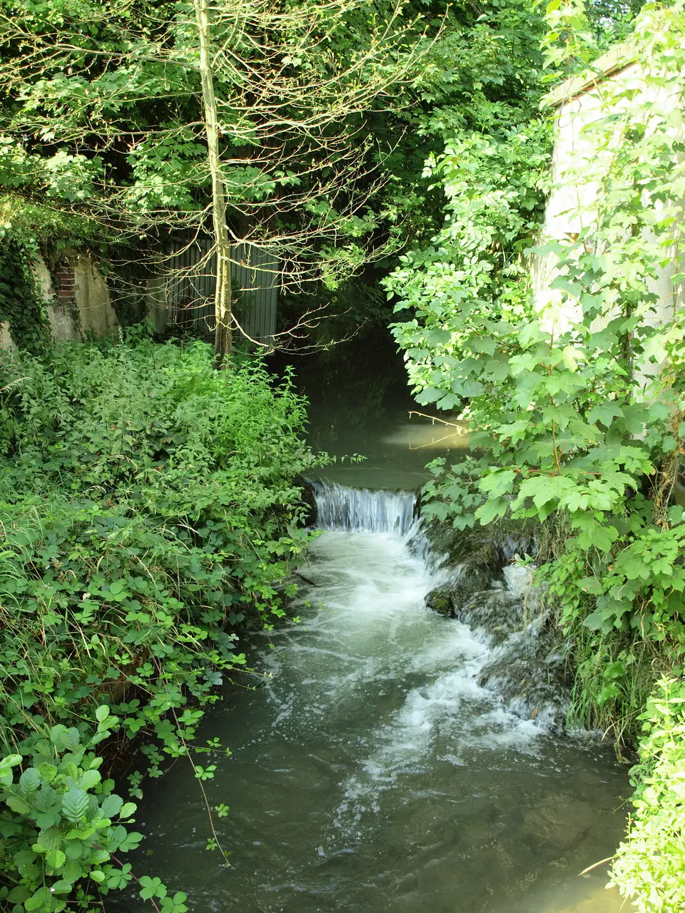 Cézy-FR-89-ruisseau Vrin des Marchands-1