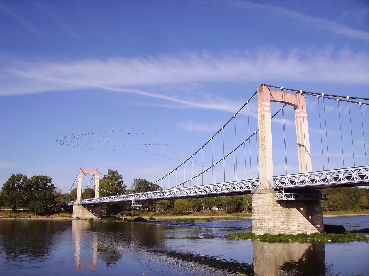 Cosne-Cours-sur-Loire - Pont et vol d'oiseaux