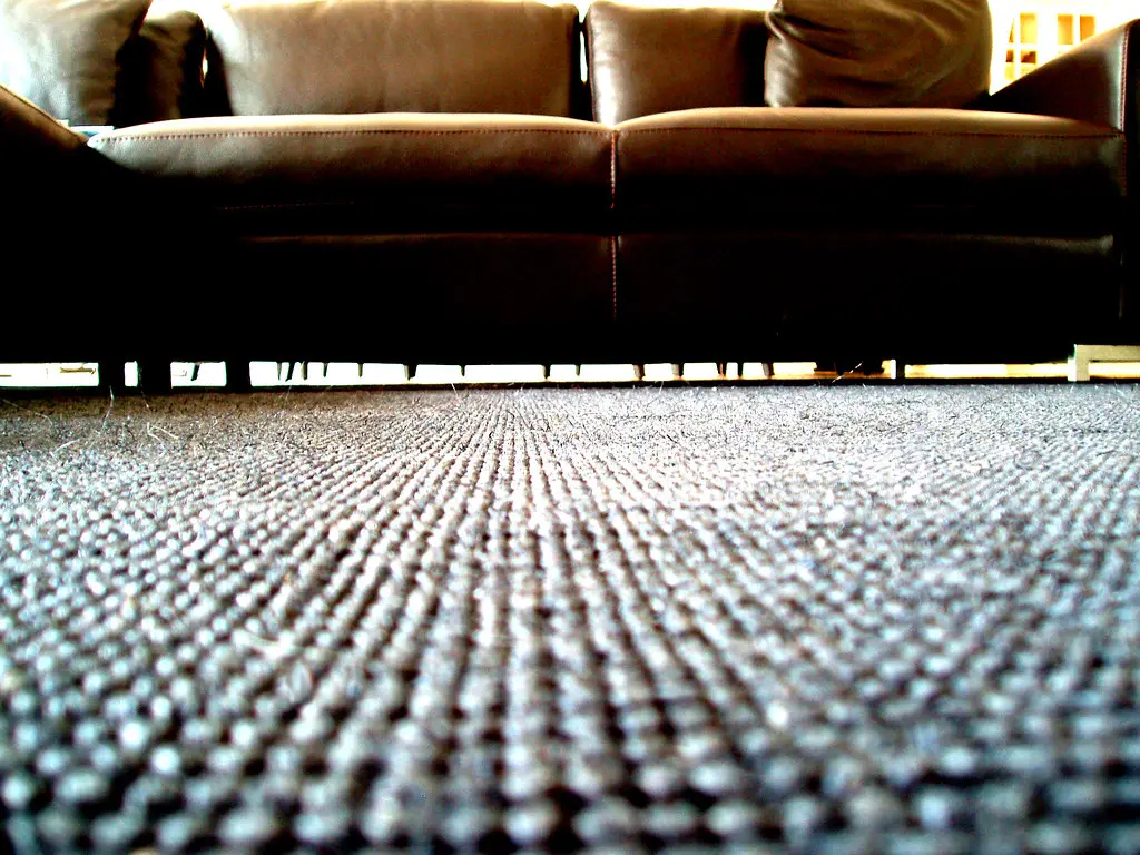 Couches