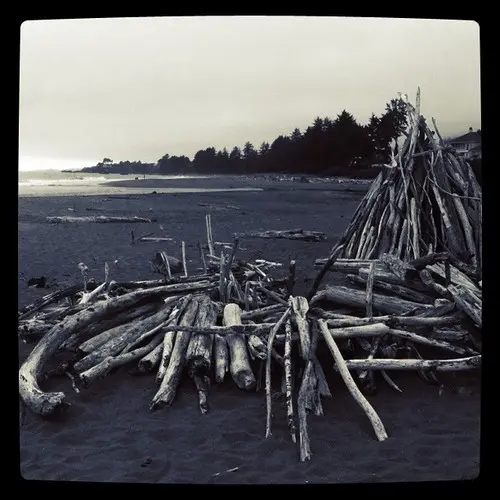 Crissey Field, OR